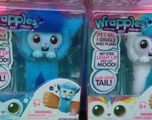Crazy_Rio_Wrapples_Blog_Post_Feature